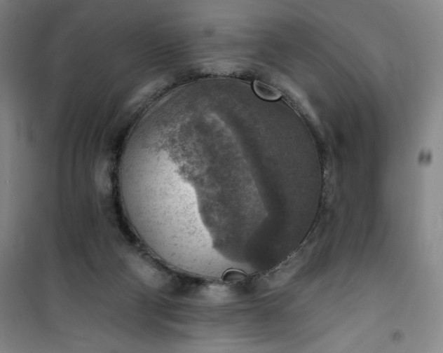 X0000101150114200807111014