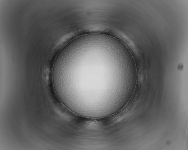 X0000101150115200807111014