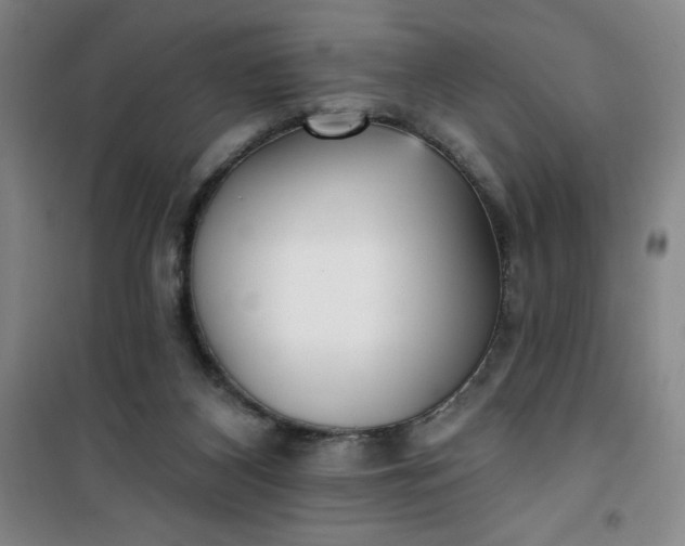 X0000101150116200807111014