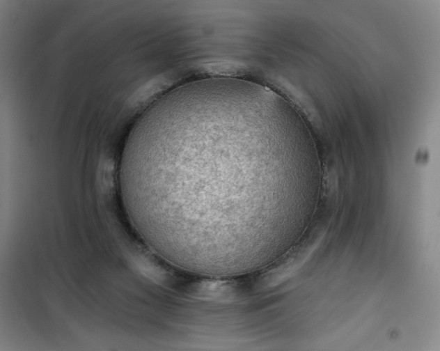 X0000101150117200807111014