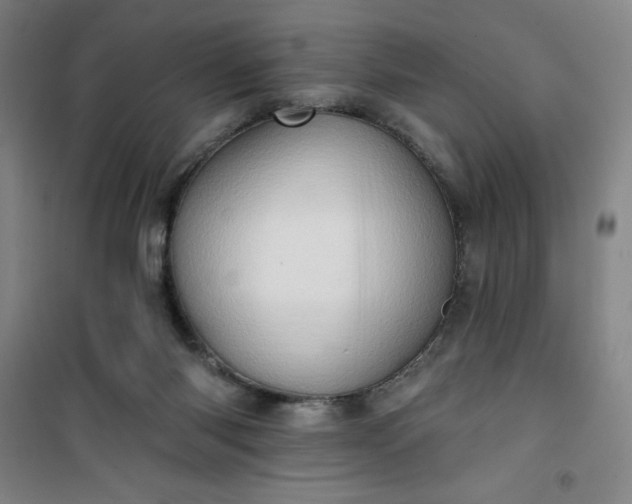 X0000101150118200807111014