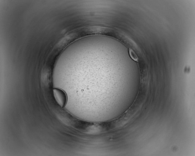 X0000101150119200807111014