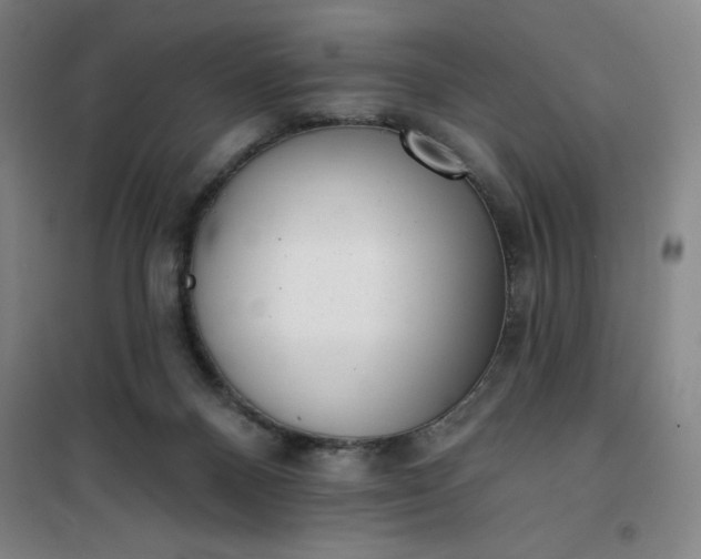 X0000101150120200807111014