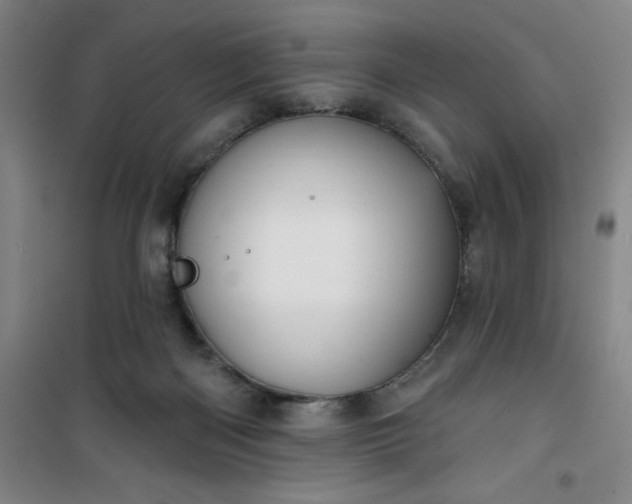 X0000101150122200807111014