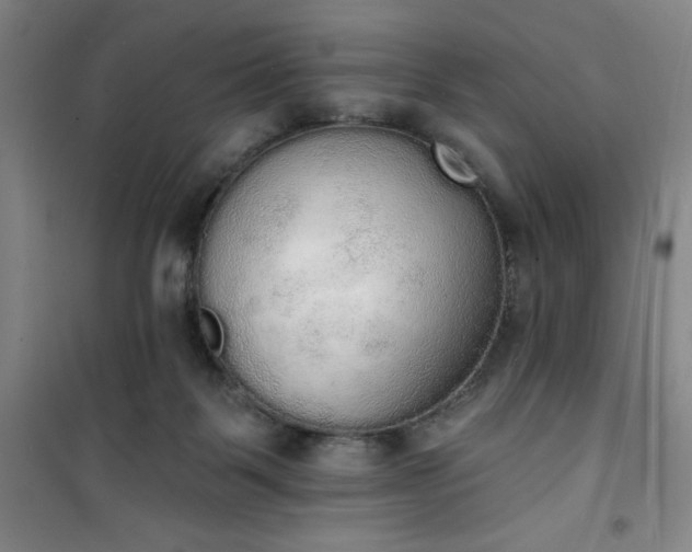 X0000101150123200807111014