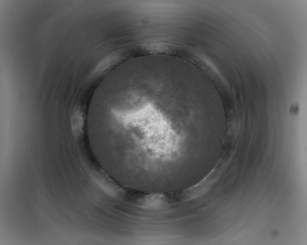 X0000101150124200807111014