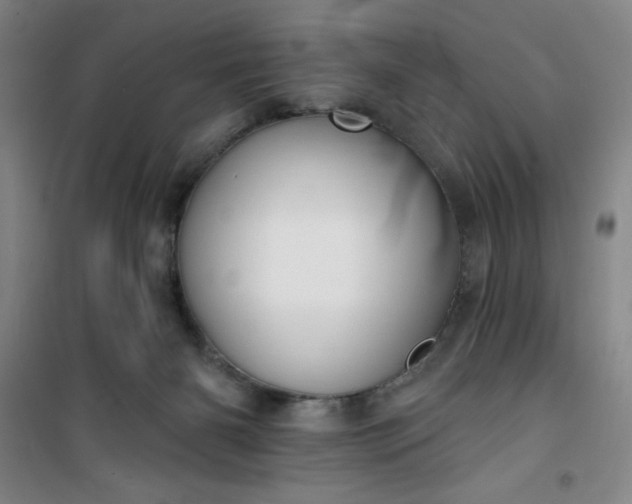 X0000101150126200807111014