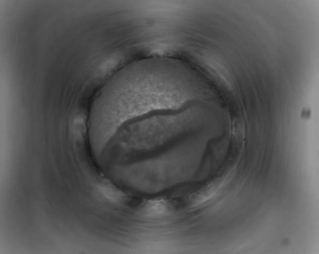 X0000101150127200807111014