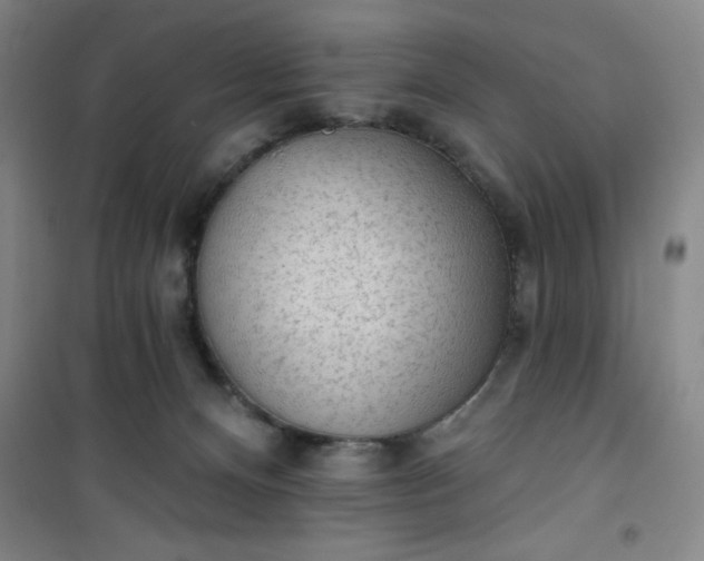 X0000101150128200807111014