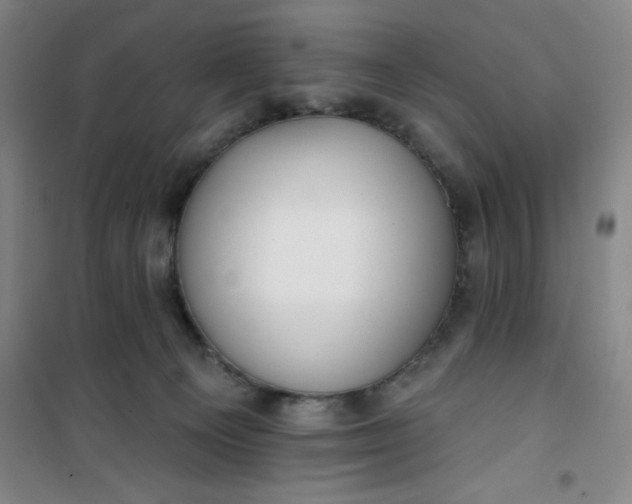 X0000101150129200807111014