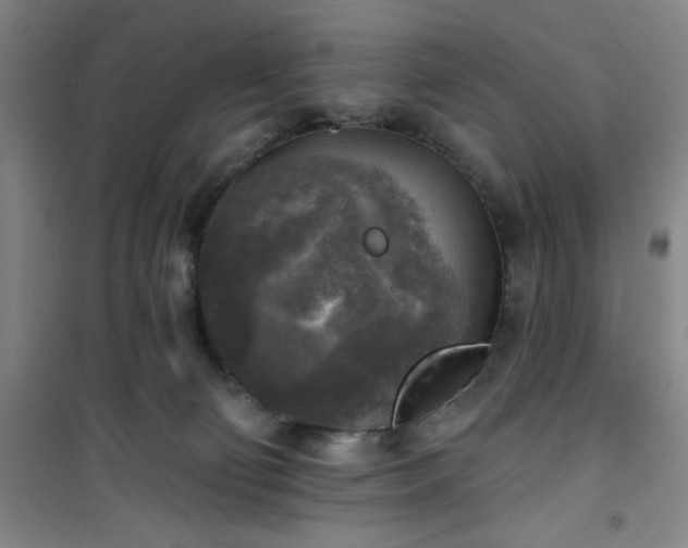 X0000101150130200807111014