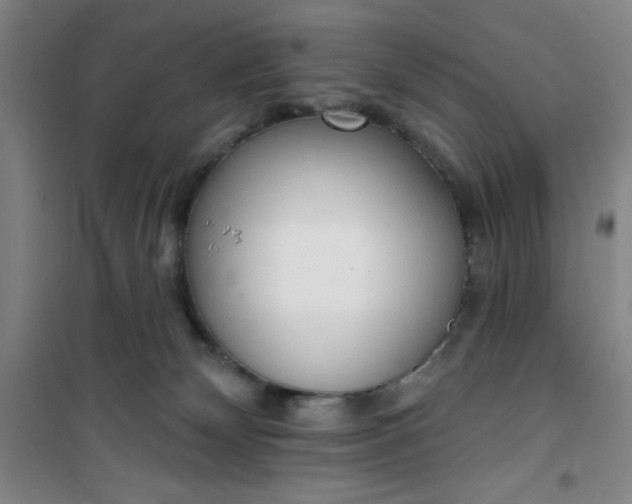 X0000101150132200807111014