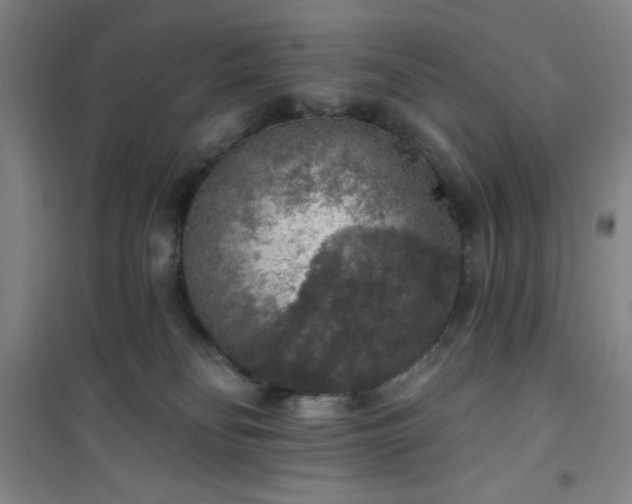 X0000101150134200807111014