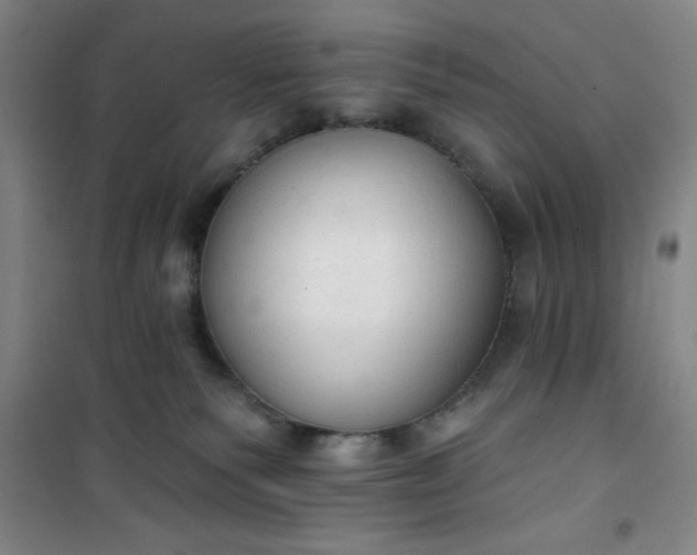 X0000101150135200807111014