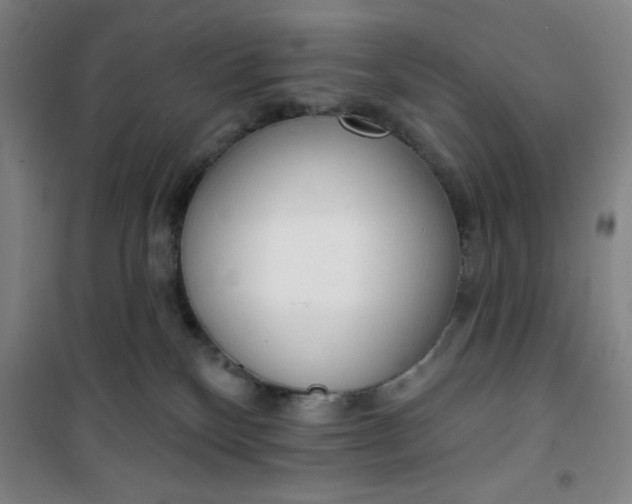 X0000101150136200807111014