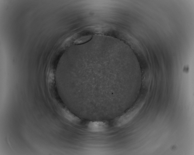 X0000101150137200807111014