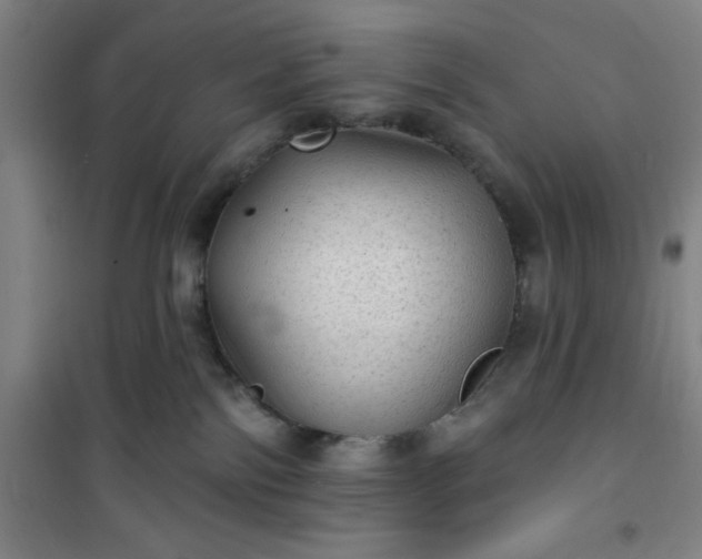 X0000101150138200807111014