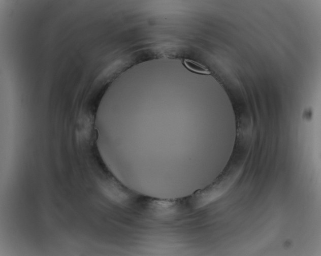 X0000101150139200807111014