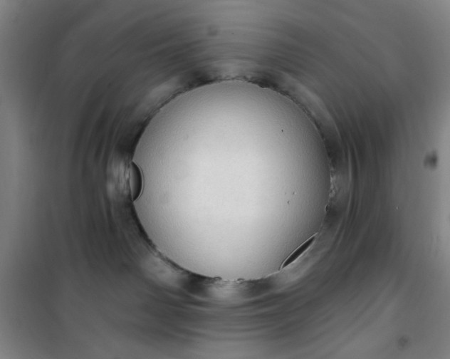 X0000101150142200807111014