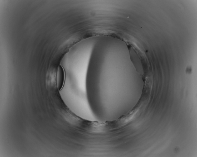 X0000101150143200807111014