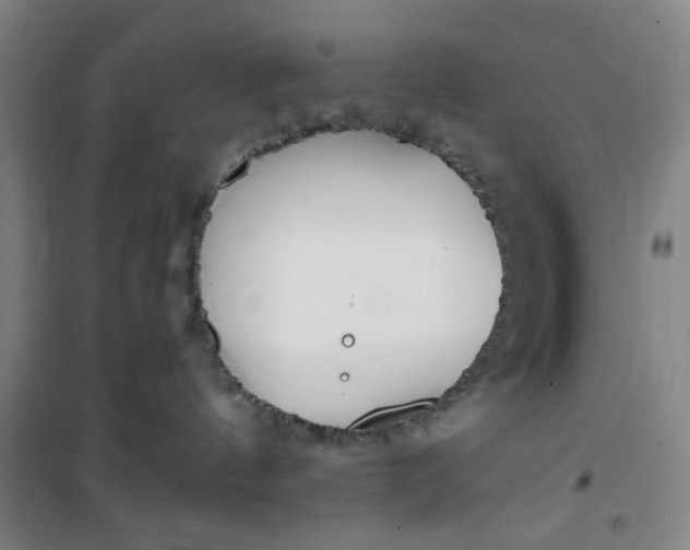 X0000101150144200807111014