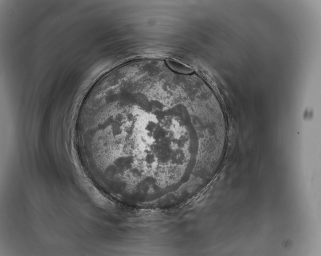 X0000101150145200807111013