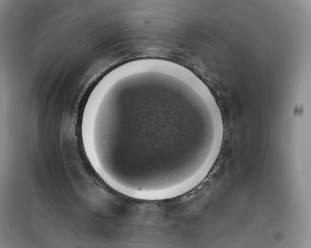 X0000101150146200807111013