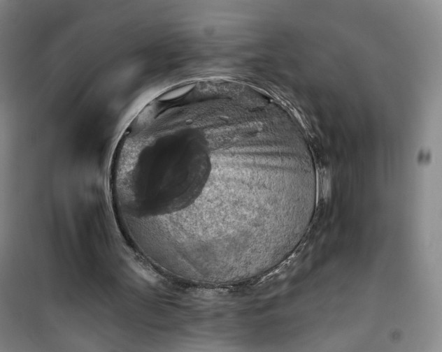 X0000101150147200807111013