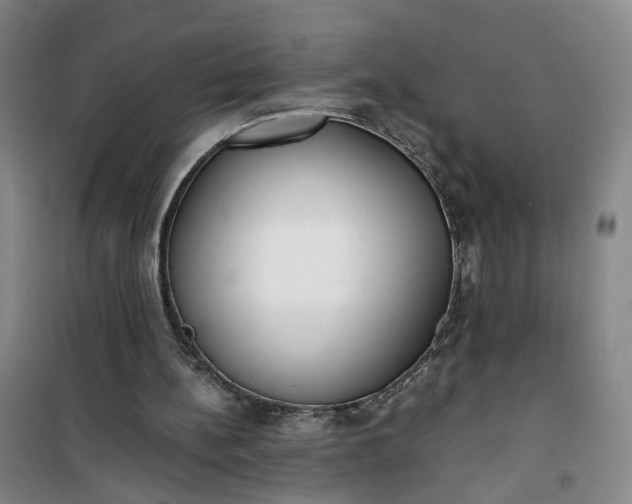 X0000101150148200807111013