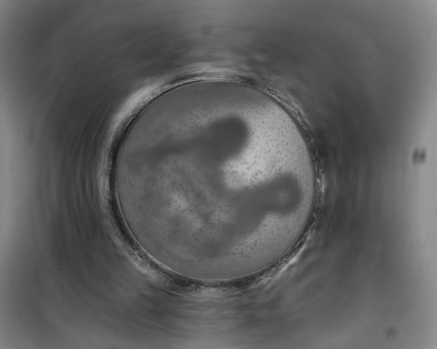 X0000101150149200807111013