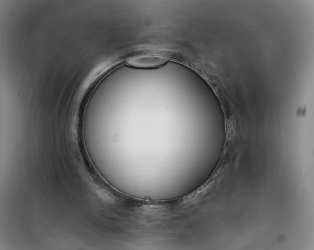 X0000101150150200807111013