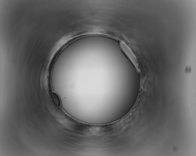 X0000101150152200807111013