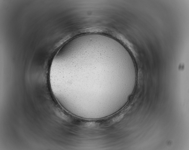 X0000101150153200807111013