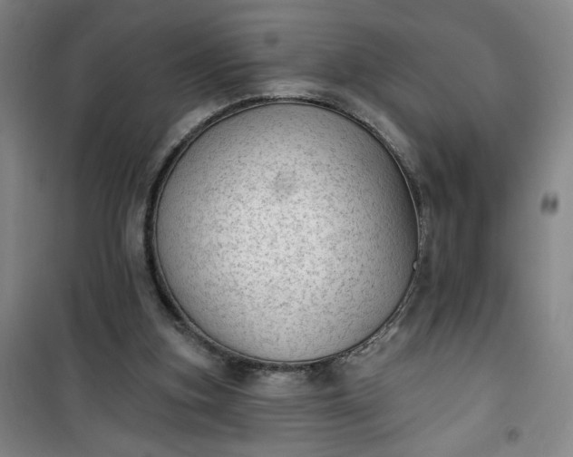 X0000101150155200807111013