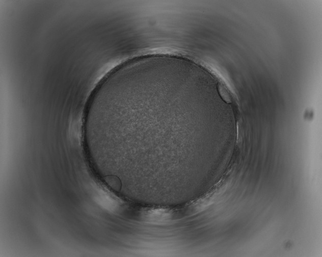 X0000101150156200807111013