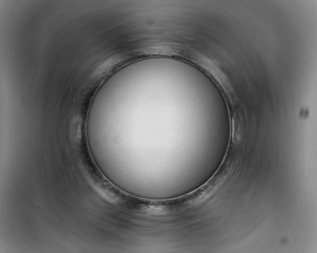 X0000101150157200807111013