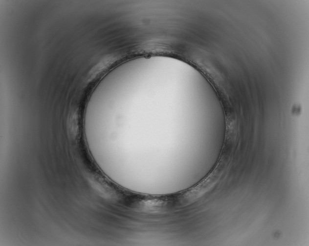 X0000101150158200807111013