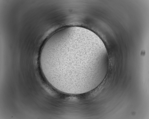 X0000101150159200807111013