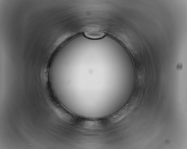 X0000101150160200807111013