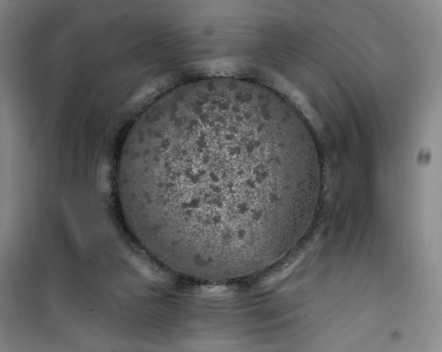 X0000101150161200807111013