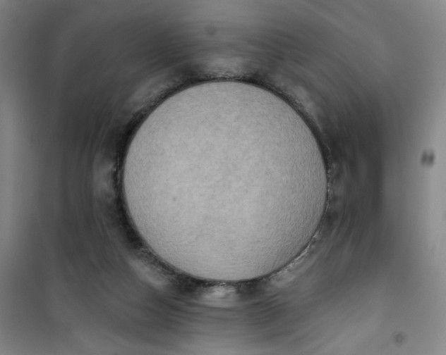 X0000101150162200807111013