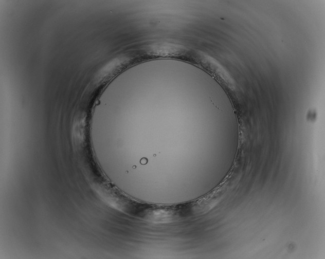 X0000101150163200807111013