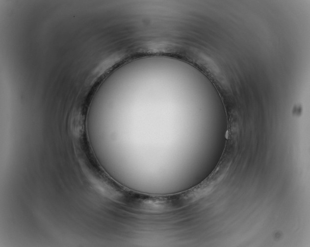 X0000101150164200807111013