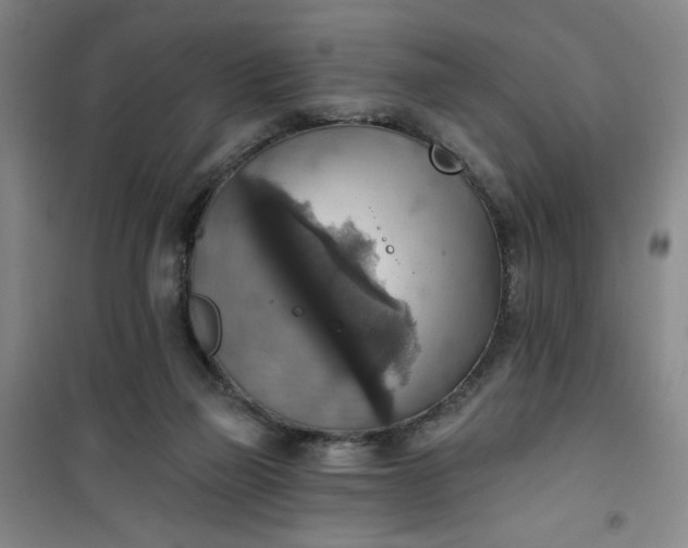 X0000101150165200807111013