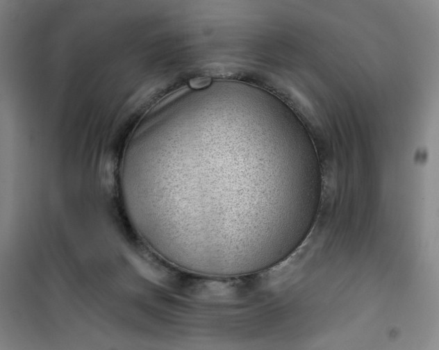 X0000101150166200807111013