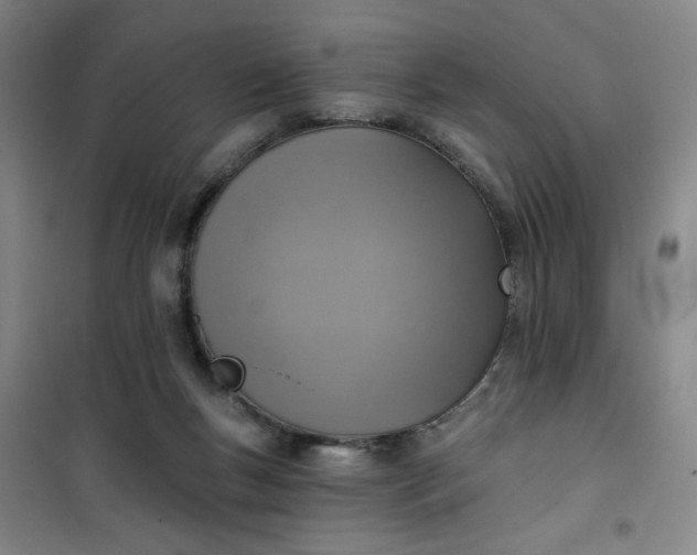 X0000101150167200807111013