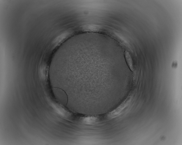 X0000101150168200807111013