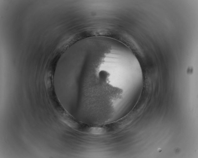 X0000101150169200807111014