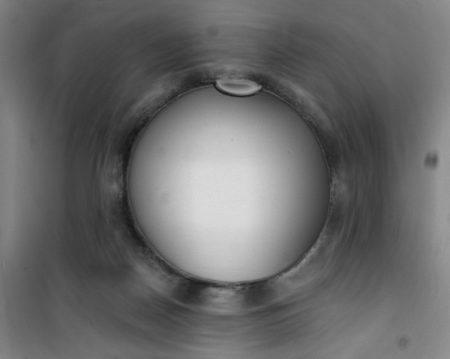 X0000101150170200807111014