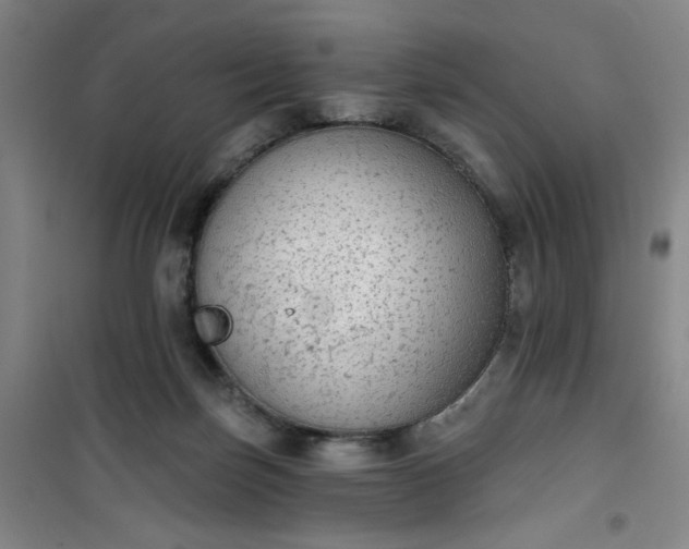 X0000101150171200807111014